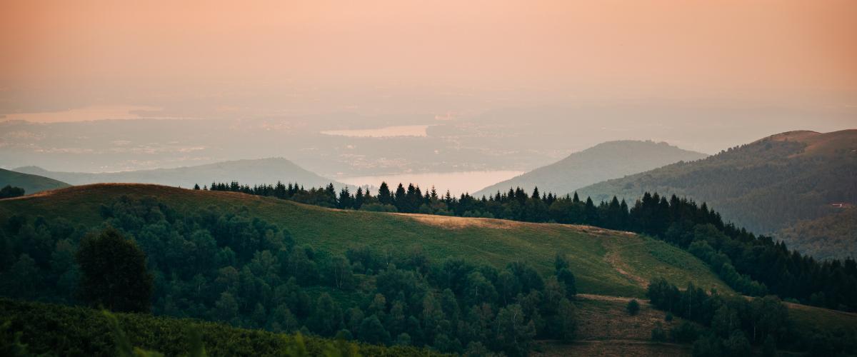 hillside fog